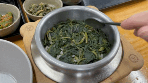 강원랜드 근처 맛집 곤드레 나물밥 메밀촌막국수