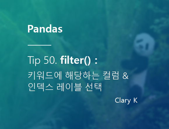 [파이썬] 판다스(pandas) 팁50.데이터프레임에서 특정 키워드에 해당하는 컬럼 & 인덱스 레이블 선택하기