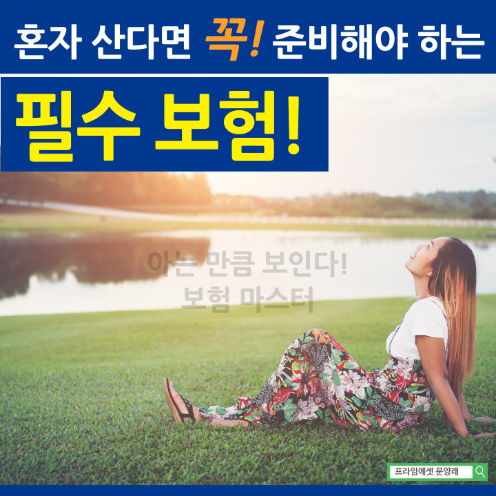  혼자 살고 있다면 꼭 가입해야하는 필수보험