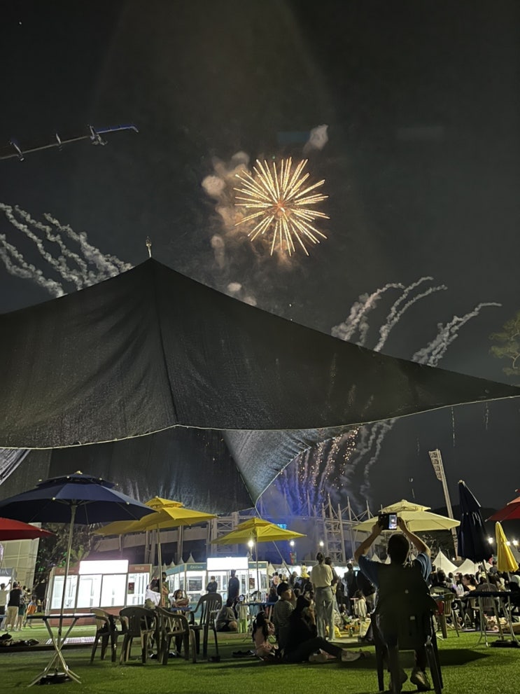  주간일기 열 다섯 번째+ (흥타령축제)