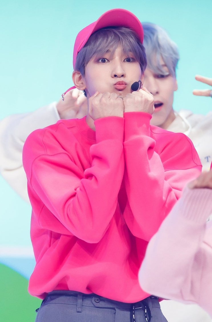  세븐틴 덕질일기c
