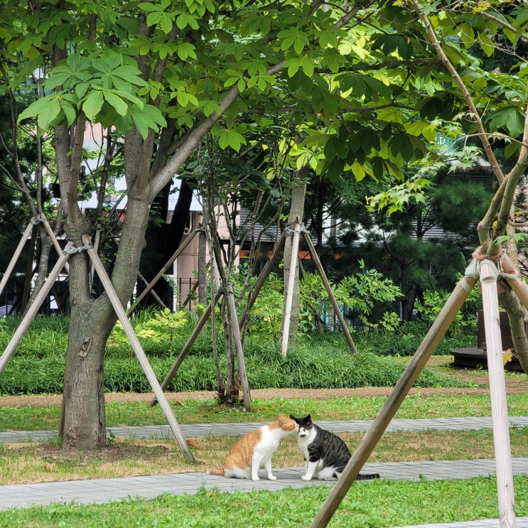  내가 9월에 사랑한 것