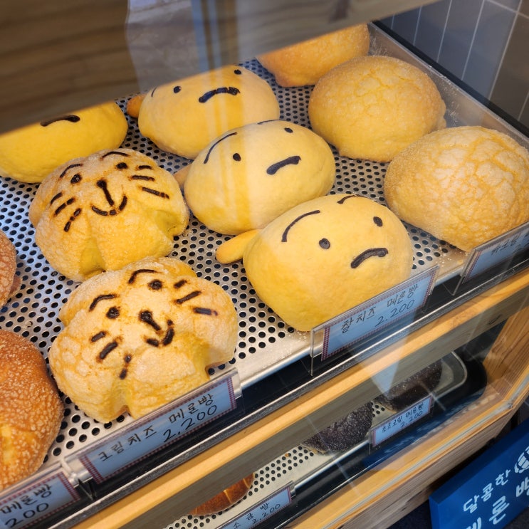  첫 글 ˙ ͜ʟ˙