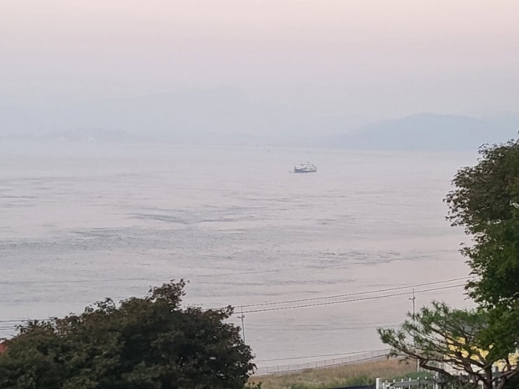  몸 꿈해몽