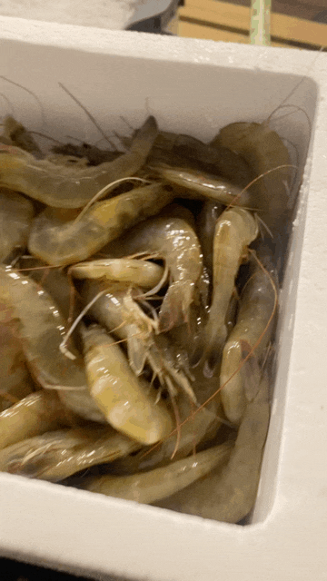  9월 넷째 주 신써니 주간 일기-일상