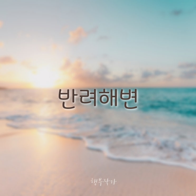  바다를 입양하세요 - 반려해변