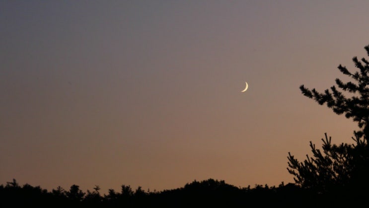  오늘의 달 별