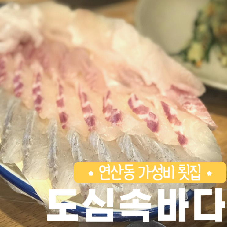  연산동 도심속바다 가성비 횟집 맛집 단골 예약