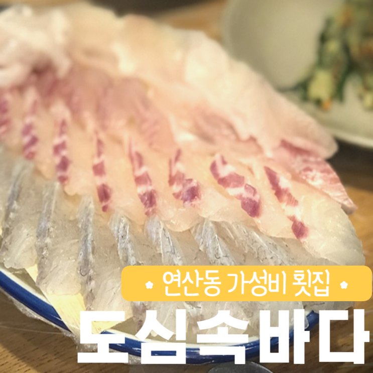 연산동 도심속바다 가성비 횟집 맛집 단골 예약