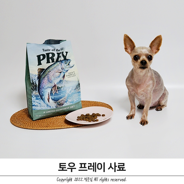 가성비사료 토우프레이 송어 기호성 좋은 강아지사료 가성비사료 토우프레이 송어 기호성 좋은 강아지사료