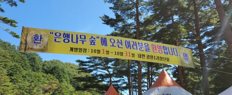  22년 어느 가을날의 나들이 (첫블로그)
