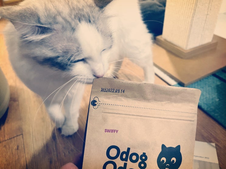 과자처럼 맛깔나는 고양이 수제간식 스위피 오독오독 바삭!! 치킨 블루베리맛 리뷰! 과자처럼 맛깔나는 고양이 수제간식 스위피 오독오독 바삭!! 치킨 블루베리맛 리뷰!