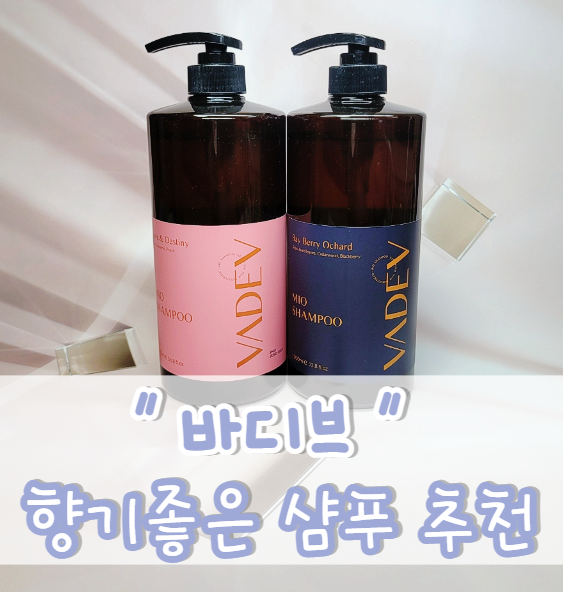  정수리 냄새 박멸 '바디브' 저자극샴푸/청소년샴푸추천