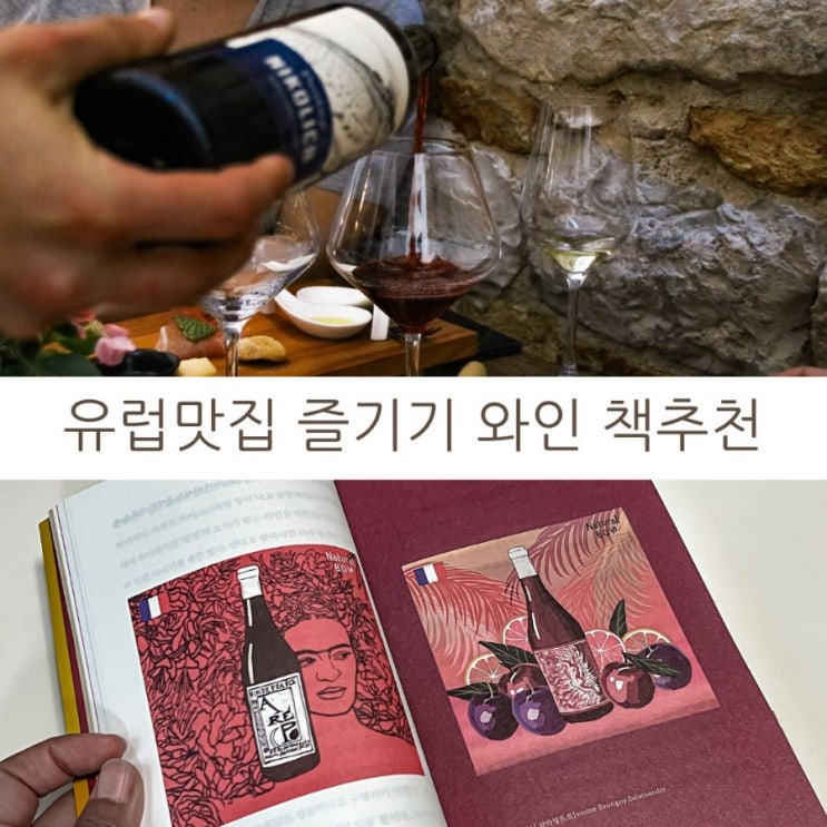 유럽 여행 먹방에서 빠지지 않는 와인 베스트셀러 책으로 배우는 내추럴와인과 와인 역사
