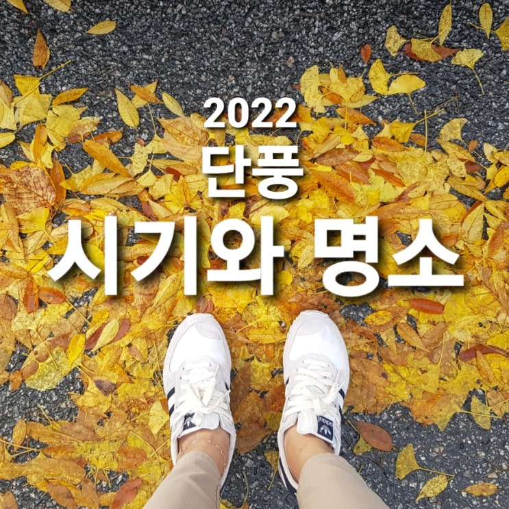  2022 전국 단풍 절정 시기와 명소 추천 (충주 가볼만한곳 월악산 가을 단풍 구경 놀이)