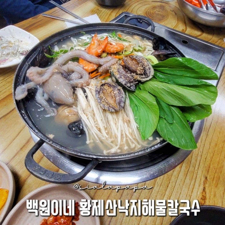  영종도 산낙지 해물 칼국수 맛집 예단포항 백원이네