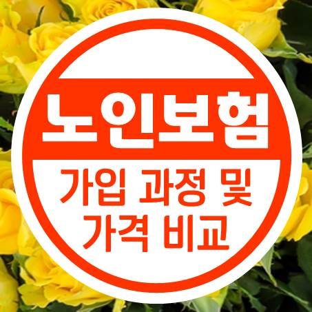  알쏭달쏭 한 노인보험비교 과정을 명쾌하게 알아보았다