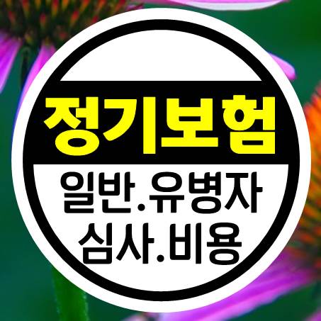  주목할 만한 유병자정기보험 심사부터 비용까지 알아봤다