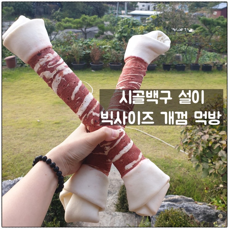  이수 빅사이즈개껌 가성비 좋은 제품 시골백구 설이 초 대형개껌 먹방