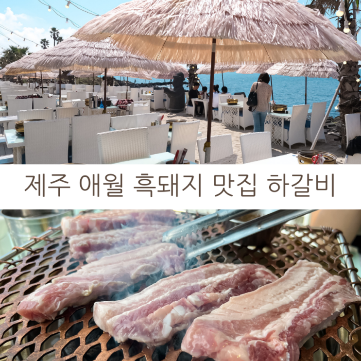  제주여행 제주 애월 흑돼지 맛집 제주 애월 고기집 하갈비