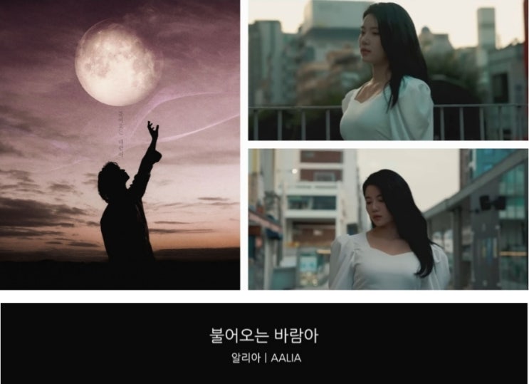 알리아 Aalia 신곡 불어오는 바람아, 가을에 듣기 좋은 노래 (여자 발라드 이별노래 추천)
