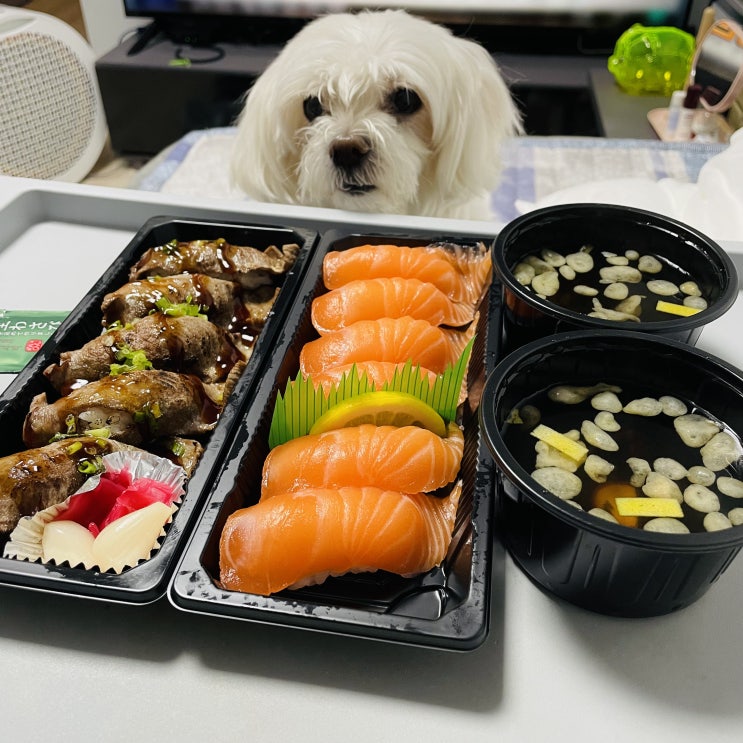  성대시장 맛집 상도동 초밥 테이킷스시