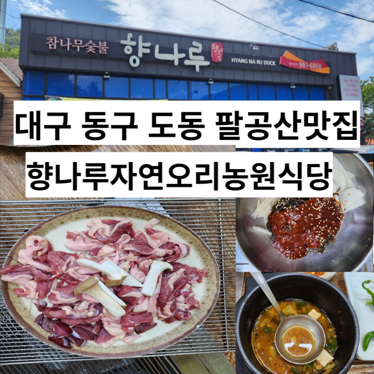 대구 동구 도동 팔공산 맛집 향나루자연오리농원식당