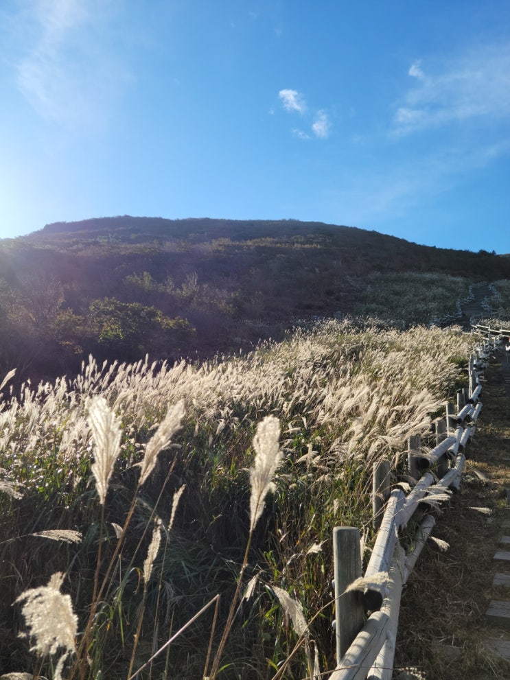  영남알프스(4) 간월산 신불산 영축산 연계산행코스