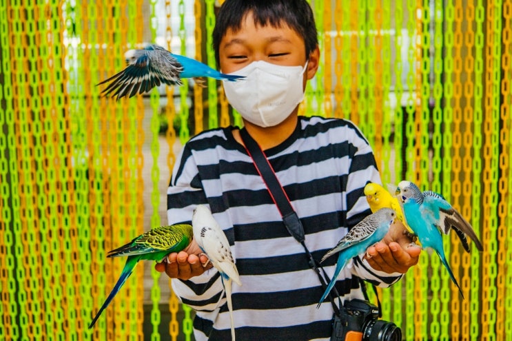 경주 여행 아이랑 가볼만한곳 버드파크 동물원 할인 경주 여행 아이랑 가볼만한곳 버드파크 동물원 할인