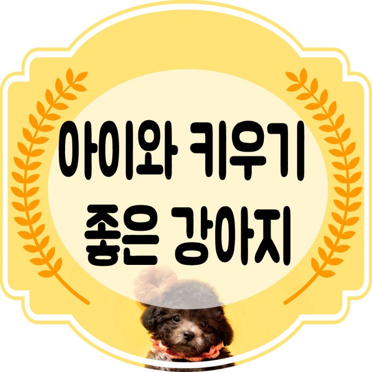  키우기 쉬운 강아지~ 아이와 키우기 좋은 강아지~ 알아보자~!!!