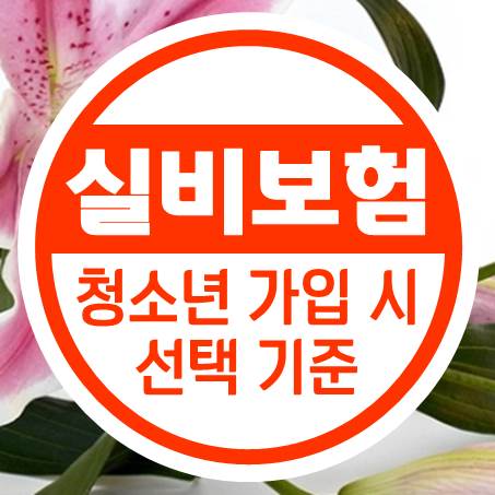  고민되는 청소년실비보험 회사 선택의 기준이 뭘까?