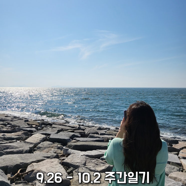  [9/26-10/2] 주간일기 18주차, 노는 게 제일 좋아