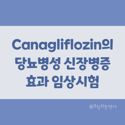 논문 요약 | Canagliflozin(SGLT-2 억제제)가 당뇨 환자에서 신장병증의 위험을 감소시키는가? CREDENCE trial 논문 요약 | Canagliflozin(SGLT-2 억제제)가 당뇨 환자에서 신장병증의 위험을 감소시키는가? CREDENCE trial