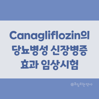 논문 요약 | Canagliflozin(SGLT-2 억제제)가 당뇨 환자에서 신장병증의 위험을 감소시키는가? CREDENCE trial