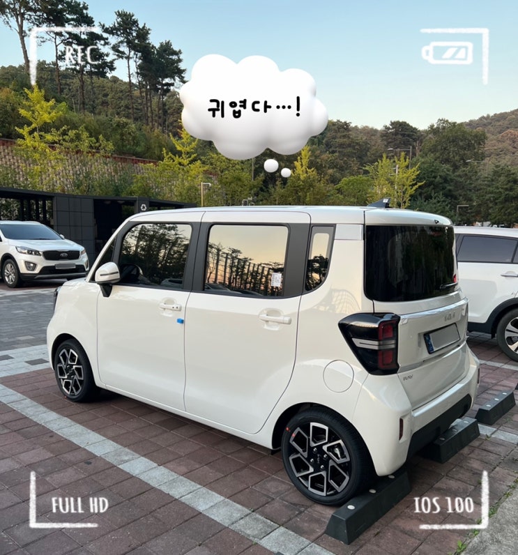  반려견 솜이와 함께 탈 ‘2023 레이’를 구매했다.