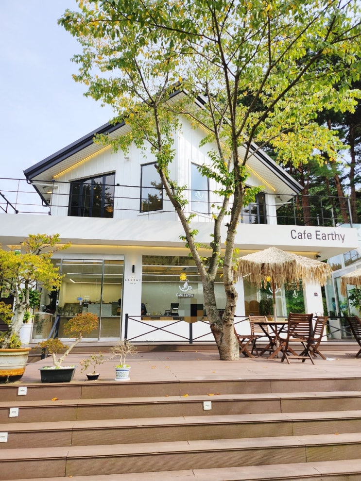  분위기 좋은 무등산 카페 얼씨