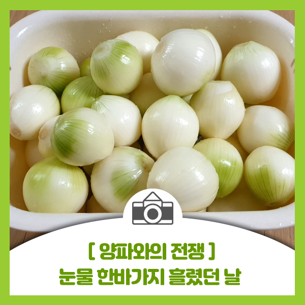  [양파와의 전쟁] 가정적인 남편되려다 눈물 한바가지 흘렸던 날
