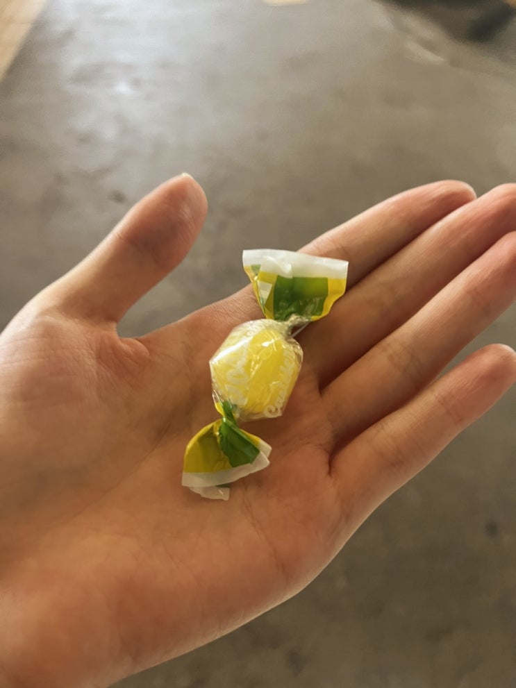 [레몬 사탕] 레몬 카스텔크렘사탕 후기 from 신맛 러버