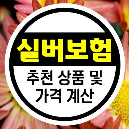  자주 언급되는 시니어보험 추천 상품 및 가격 계산
