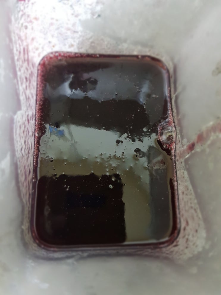  거봉으로 거봉쨈 만들기