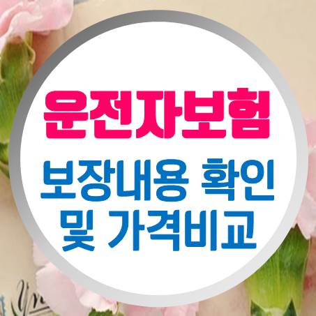 자가 및 영업용 화물차운전자보험 흔히 준비하는 보장내용 요약