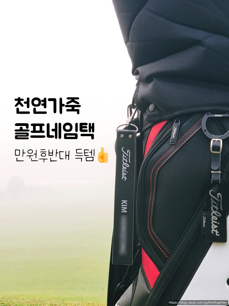 천연가죽 골프 네임택 : 타이틀리스트 네임택, 골프네임택 소가죽 만원대 득템!