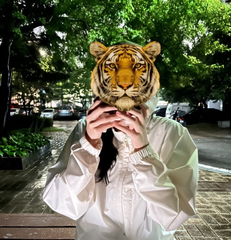  주간일기 챌린지 4회차