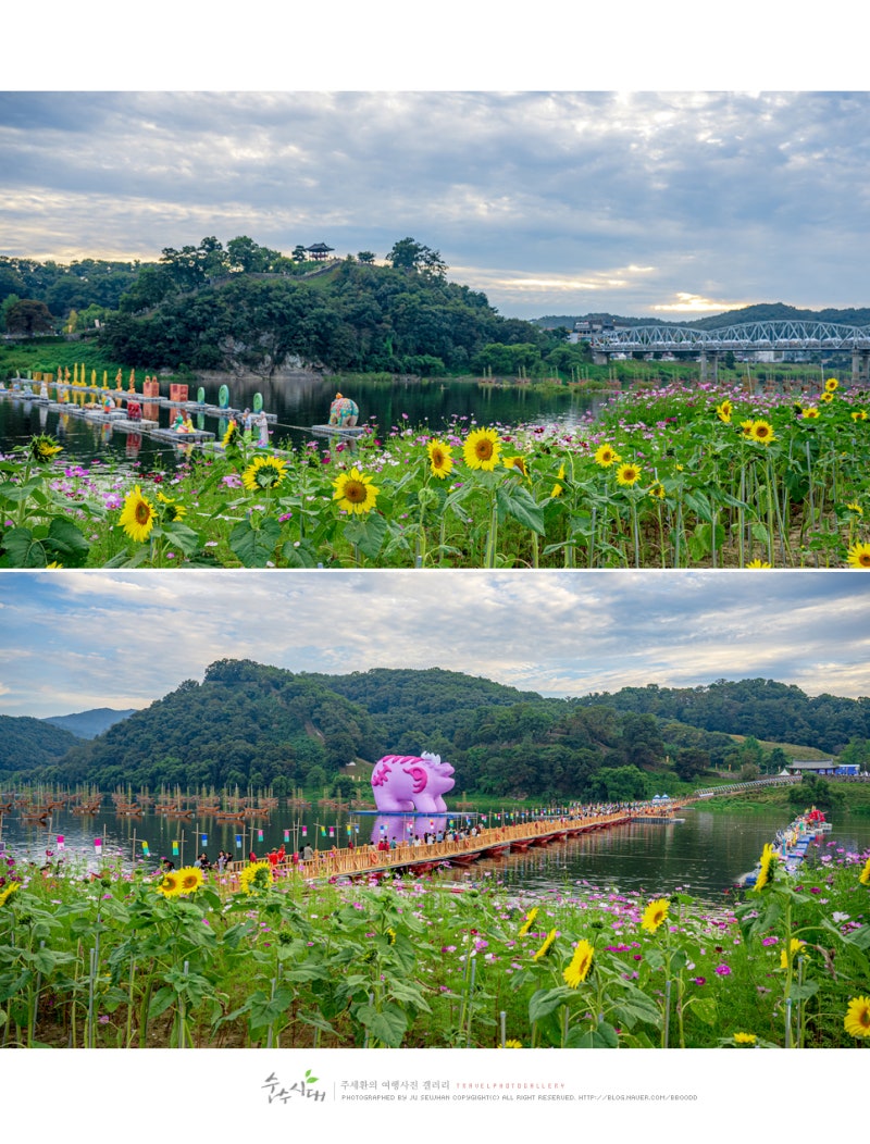 Lotus Beautiful Flowers Garden Waterfall에 있는 Sumita님의 핀 정원 폭포, 아름다운 꽃 정원,  연꽃 정원 HD 전화 배경 화면 | Pxfuel, image size:800x1052