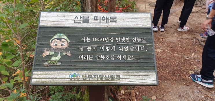 상처 : 그 사라지지 않는 흔적