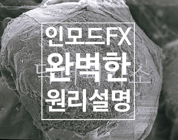  인모드FX, 아무도 알려주지 않는 초디테일 인모드 원리, 완벽 뽀개기(4-2)