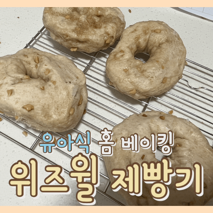 [내돈내산] 위즈윌 대용량 제빵기 : 우리 아기 건강한 빵 만들어주기 / 유아식 유기농 식빵 / 홈베이킹