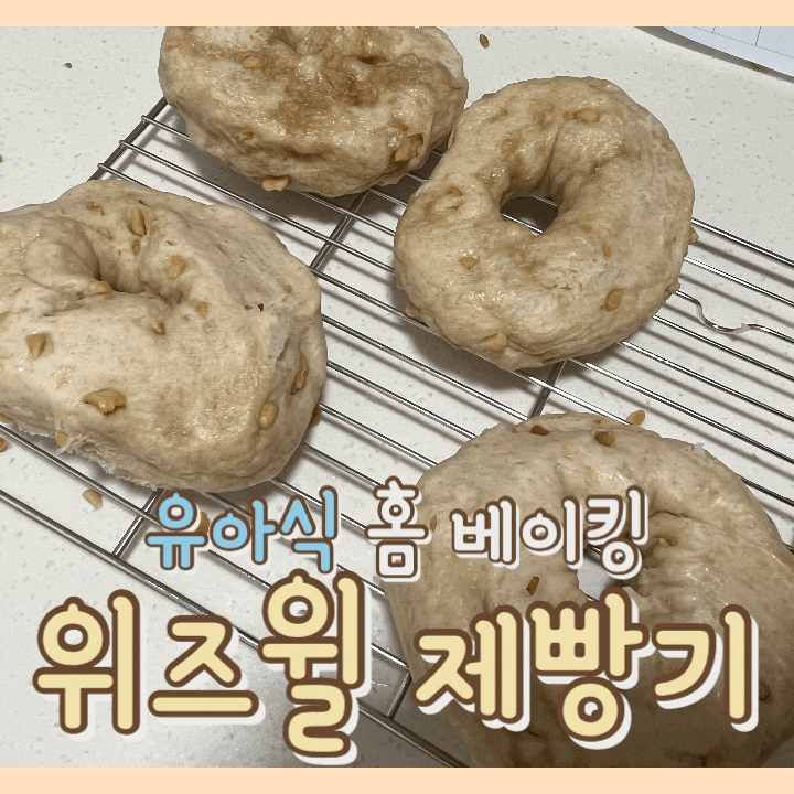  [내돈내산] 위즈윌 대용량 제빵기 : 우리 아기 건강한 빵 만들어주기 / 유아식 유기농 식빵 / 홈베이킹