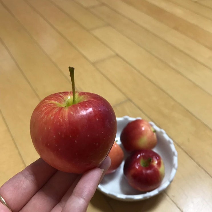  18번째 주간일기