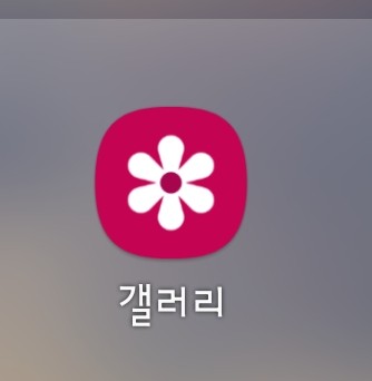  사진의 필요없는 사람,사물 삭제 방법(갤럭시 AI지우개)